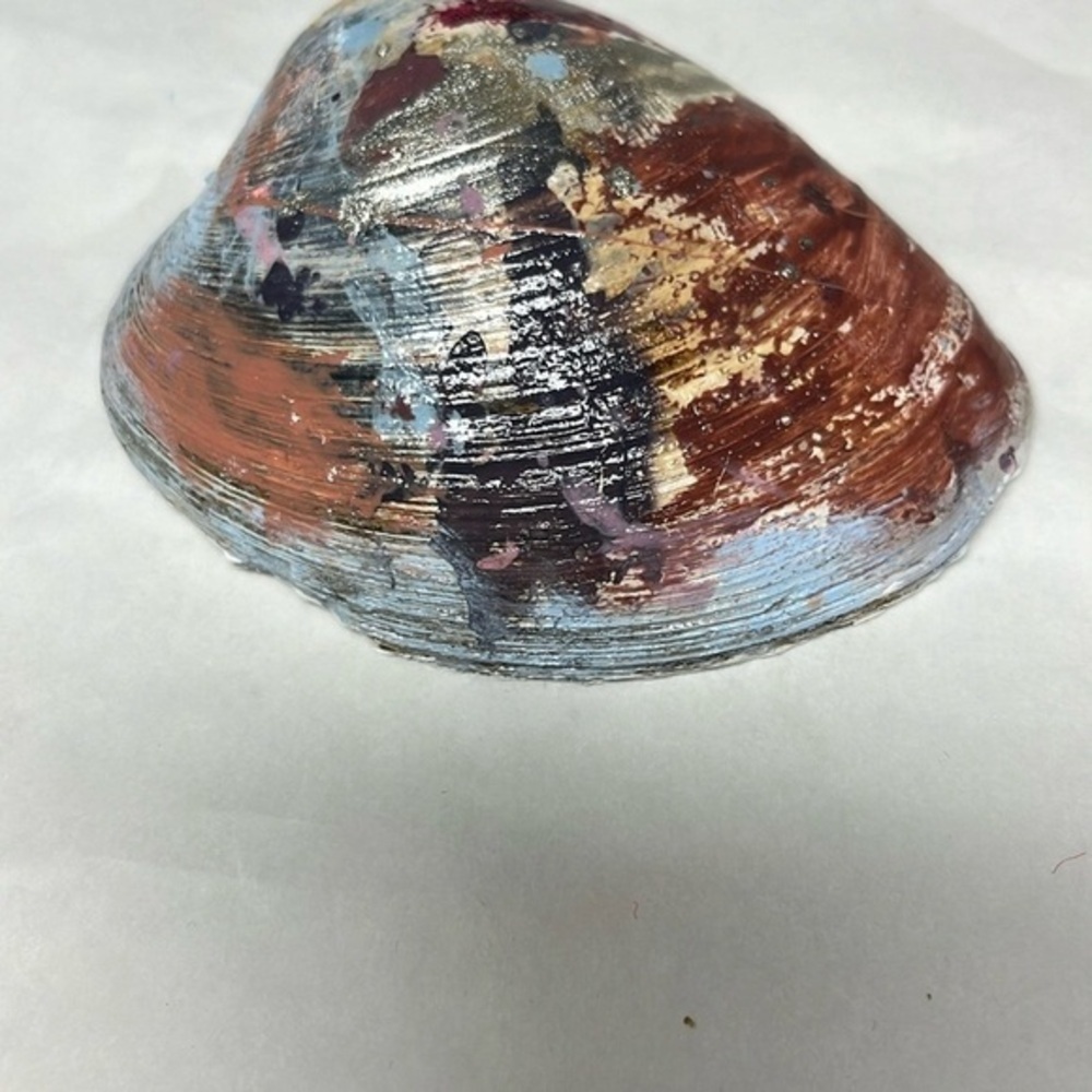 Hand Painted Decorative Shell